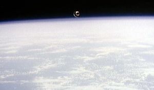 10060947.jpg