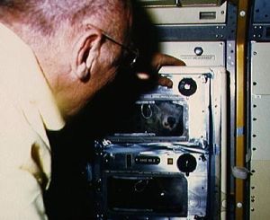 10061978.jpg